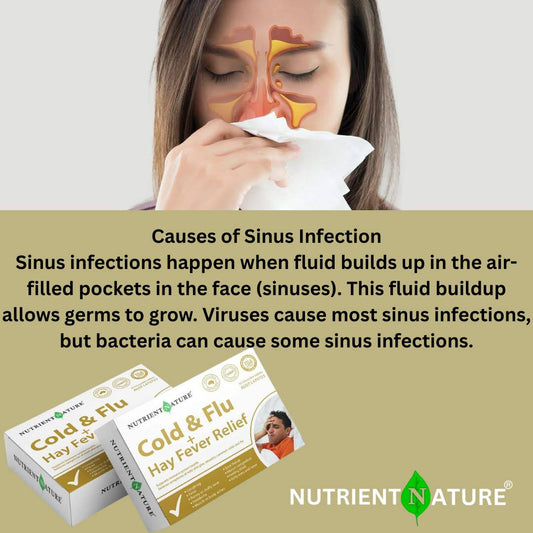 Cold & Flu + Hay Fever Relief (Adult)